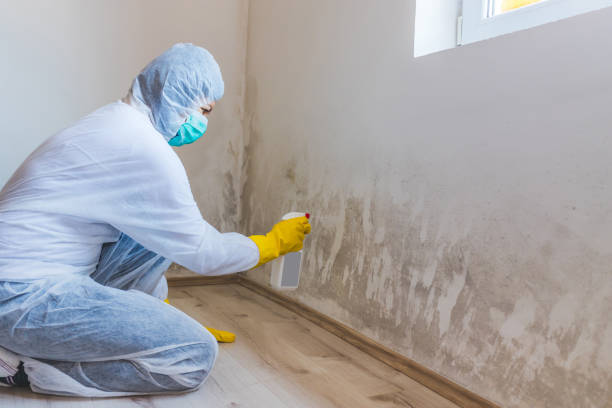 Mold inspector in Adamstown performing thermal imaging